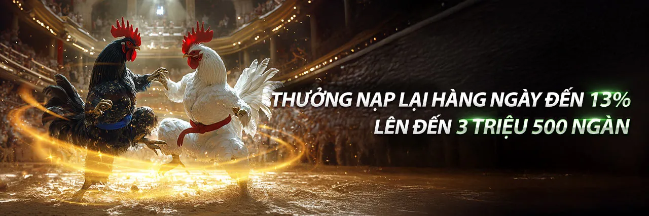 Chương Trình VIP bot88 code - Ưu Đãi Độc Quyền